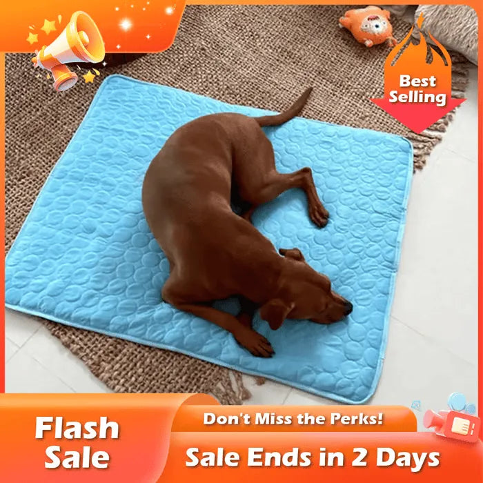 🔥Stay Cool & Comfy 🧊Dog Cooling Mat (4x more effective)
