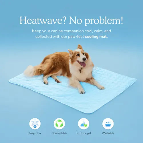 🔥Stay Cool & Comfy 🧊Dog Cooling Mat (4x more effective)