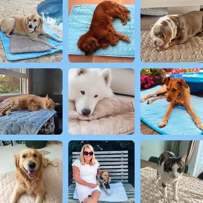 🔥Stay Cool & Comfy 🧊Dog Cooling Mat (4x more effective)