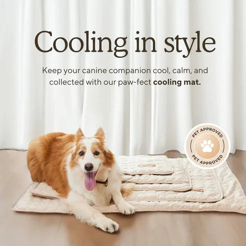 🔥Stay Cool & Comfy 🧊Dog Cooling Mat (4x more effective)