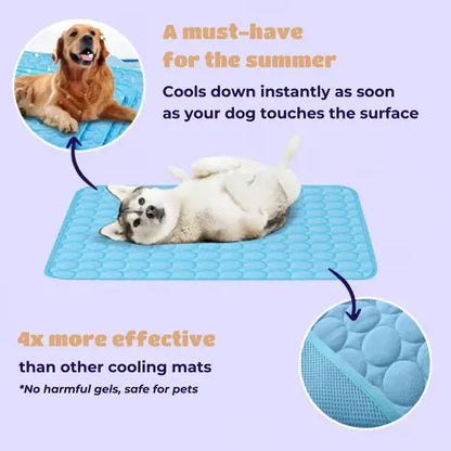 🔥Stay Cool & Comfy 🧊Dog Cooling Mat (4x more effective)