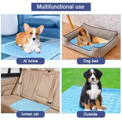 🔥Stay Cool & Comfy 🧊Dog Cooling Mat (4x more effective)